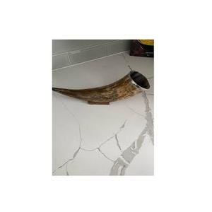 Corne décorative de meilleure qualité pour corne de taureau polie, pièce d'exposition décorative corne de taureau naturelle à vendre avec support en métal - Product Image 6