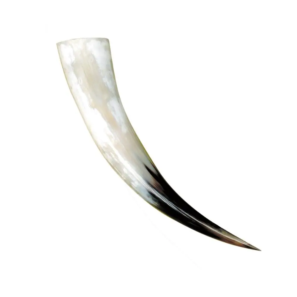 Custom Made Drinking Horn Manufacturer from India Polished Buffalo Drinking Horn Wholesale Supplier