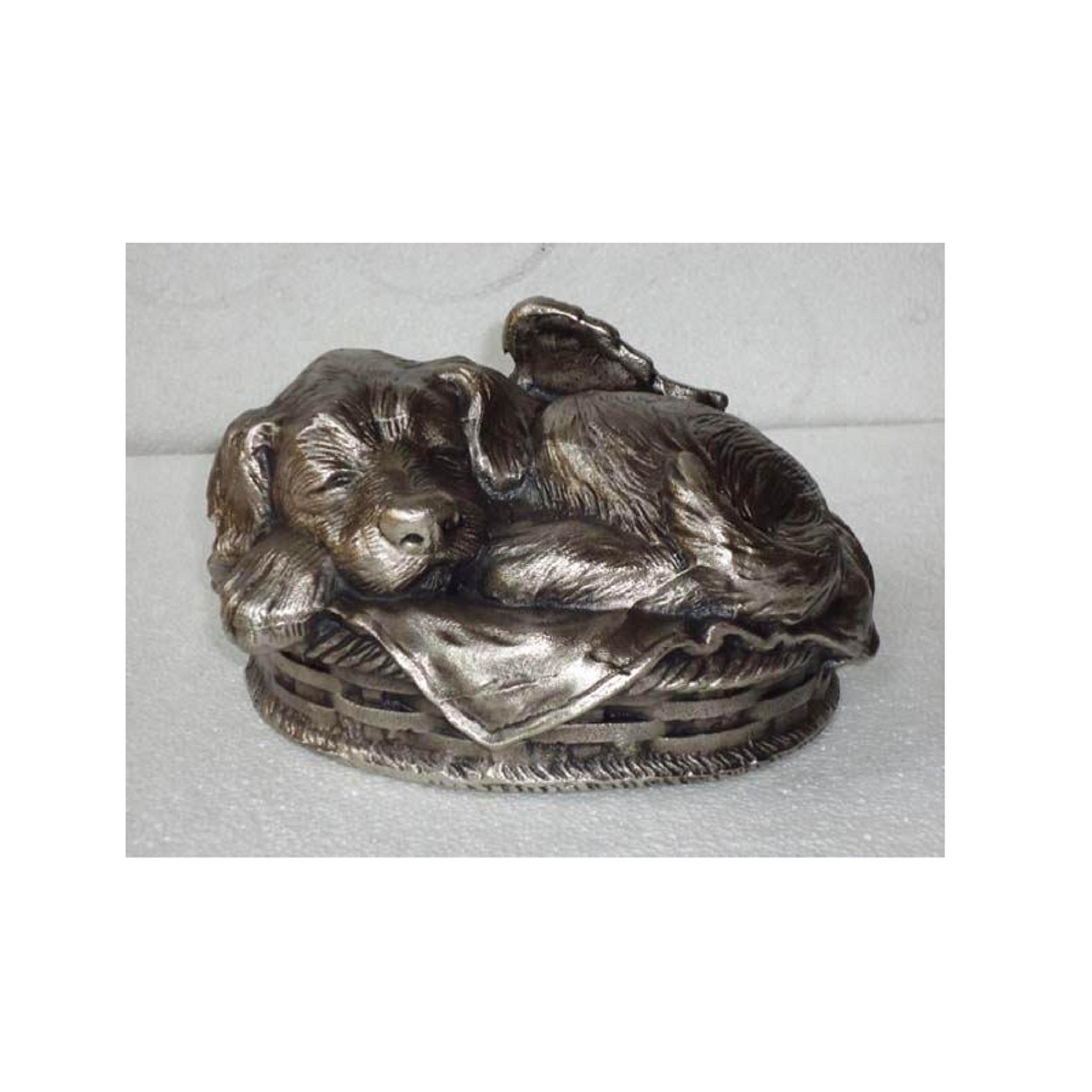 ตามที่แสดง