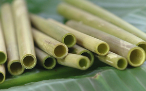 Pailles à boire en herbe / 100% biodégradables, écologiques, naturelles et organiques du Vietnam - KATIE +84795877933 - Product Image 6