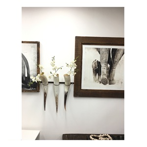 Pièce maîtresse décorative à 5 cornes et taille personnalisée et support mural en métal poli et en corne naturelle - Product Image 2