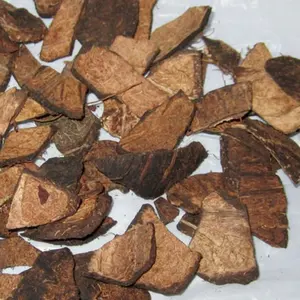 COCONUT SHELLS , COCONUT SHELL CHIPS FOR MAKING CHARCOAL
