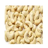 Cheap Raw Cashew Nuts /Vietnamese Cashew Nuts For Sale
