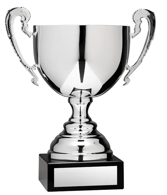 Silver metal plate trophy with attractive design for Sports School Function Social Function and Competition