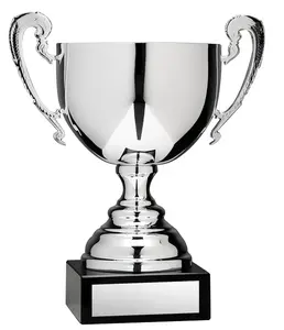 Trofeo de placa de metal plateado, con diseño atractivo para deportes, función escolar, función Social y competición