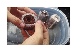 Fabricante de Máquinas de Cultivo de Fibra de Coco Jiffy de Entrega Rápida en Venta - Product Image 3