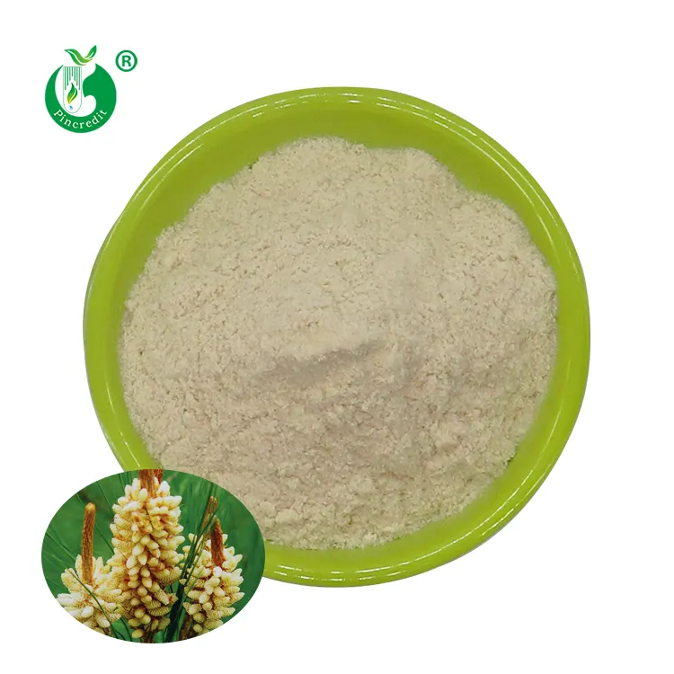 Chinese Manufacturer Wholesale Hot Sale Organic 20:1 Pine Pollen Extract