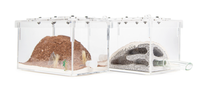 Petit Formicarium Classique Écologique en Forme de Fourmilière, Accessoires d'Hébergement pour Fourmis, Cage pour Animaux de Compagnie, Décoration de Table, Fourmis Empire, 14x8.5x8.5cm, en Plastique, Tout-en-un