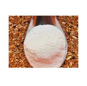 <b>CUTTLEFISH</b> BONE POWDER HIGH QUALITY in VIET NAM 99 Gold Data - Product Image 2