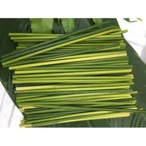 Top One 100% Natural Eco Friendly Organic Grass Straws/ Disposable Drinking Grass Straws By Eco2go Vietnam