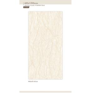 Carreaux de céramique vitrifiée émaillée 60x120cm - Product Image 1