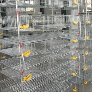 Low Price Manual H- Type Quail Cage