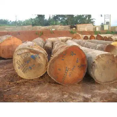 Padouk बिक्री के लिए लकड़ी के लॉग