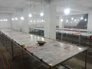 Vente en gros de shorts de sport de fitness solides en coton éponge 100% de haute qualité pour hommes courts orange - Product Image 6