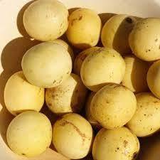 Aceite Portador de Semillas de Marula Prensado en Frío de la India (Sclerocarya Birrea), Aceites de Aguacate, Argán, Semilla Negra, Rosa Mosqueta, Semilla de Uva y Coco - Product Image 5