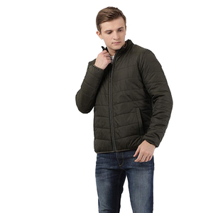 Vestes d'hiver matelassées pour hommes, décontractées, fines, à capuche, écologiques, respirantes, fermeture éclair, service OEM, impression en relief, taille XL - Product Image 6