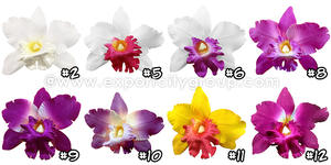 Vente chaude hawaïen Premium Cattleya tissu fleur pince à cheveux tissu feuille accessoire de cheveux - Product Image 6