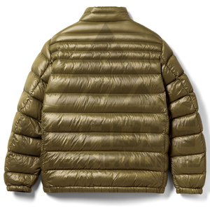 Veste d'hiver matelassée pour homme, style streetwear, personnalisable, en toile imperméable à séchage rapide, avec logo imprimé et poche, vente en gros OEM - Product Image 2