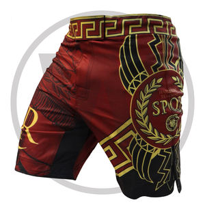 Pantalones cortos de lucha, MMA, sublimación - Product Image 3