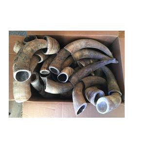 Cuerno decorativo de búhos para el hogar y el dormitorio, claxon decorativo de búhos pulidos brillantes para exteriores - Product Image 1