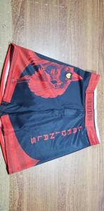 Custom Made Sublimated Sportswear Unisex <b>Shorts</b>-Elastic Waist 100% Polyester Satin Casual Quick Dry - Product Image 5
