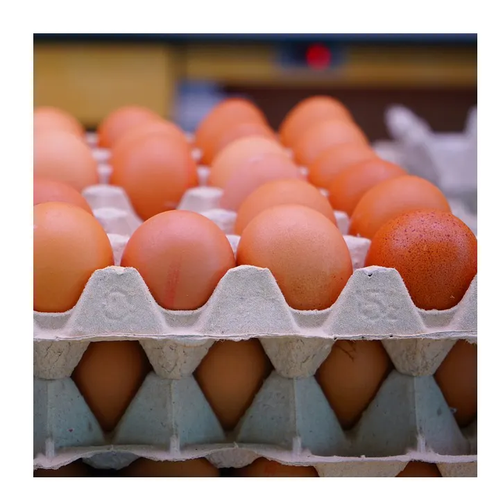 مزرعة البيض الطازج الدجاج/البني والأبيض بيض الدجاج المصنعة بكميات كبيرة أعلى درجة