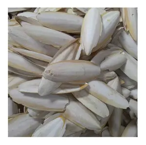 고품질 및 화학 물질을 가진 베트남에서 Hotsale 오징어 뼈-자연적인 말린 99 금 자료