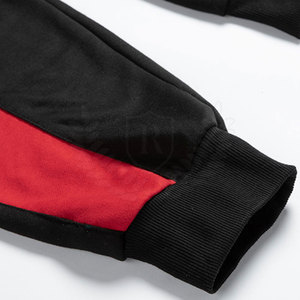 Ensemble de survêtement sportif pour homme en gros OEM, vêtements de sport d'hiver, écologiques, respirants, taille plus, coupe ajustée, sweat-shirt et pantalon - Product Image 2