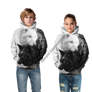 Sweat à capuche pour hommes en coton et polyester, surdimensionné, service OEM échantillon, vente en gros, pull-over brodé, Logo personnalisé, offre spéciale - Product Image 5