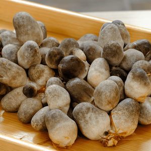 CHAMPIGNONS DE PAILLE CONGELÉS DE HAUTE QUALITÉ/CHAMPIGNONS CONGELÉS BIOLOGIQUES DU VIET NAM/Mme Laura - Product Image 2