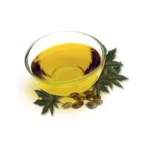 Standard Quality Pure Madhuca Indica Cold Pressed Oil (Mahua) in Good Quality
