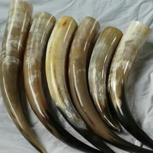 Taza de cuerno para beber vikingo Natural de alta calidad, alimentada por energía Solar/Gas para coche, hogar y uso al aire libre, garantía de 1 año para hoteles - Product Image 3