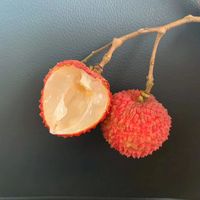Verse Lychee/Litchi/Lichee/Lichi Beste Fruit In Vietnam 2021/Vicky + 84 90 393 1029