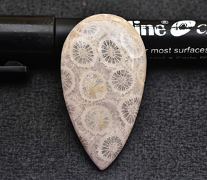 ปะการัง Cabochon AAA + Fosil หินปะการังสำหรับเครื่องประดับทุกประเภทรูปร่างผสมสำหรับการออกแบบเครื่องประดับราคาขายส่ง - Product Image 6