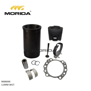 12AYM-WGT Kit de revestimiento de para YANMAR - Product Image 1