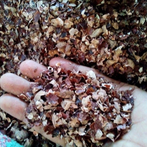 CASHEW HUSK, coque CASHEW du VIETNAM, bon marché, provenant du VIETNAM - Product Image 1