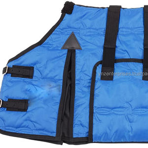 Manta de caballo de invierno de último diseñador, participación impermeable con relleno de algodón para alfombras de caballo - Product Image 1