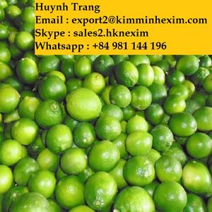 มะนาวเปอร์เซียไร้เมล็ดพรีเมี่ยม - Product Image 3