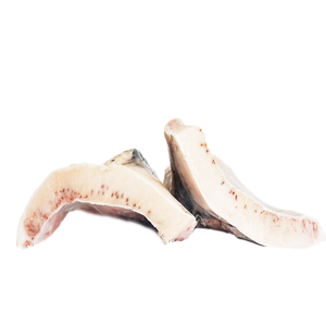 Larhueso de pez espada Natural nutritivo, bajo en grasa, certificación GMP, de la Costa de Marfil del Océano Indio - Product Image 4