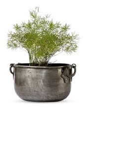 Macetero de metal para plantas y flores de interior, decoración para sala de estar, hogar, terraza, balcón y jardinería, superventas - Product Image 2