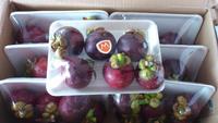 Mangosteen Verse Pack 5Kg/Carton Met Goedkope Prijs