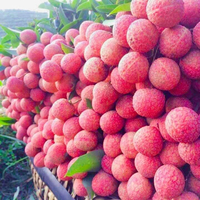 VIETNAM ROOD DELICIEUZE ZOETE BIOLOGISCHE VERS ZAADLOZE LYCHEE Graad 1 5kg/10kg Karton Klaar om te eten