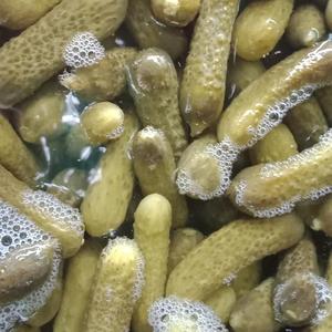 Concombres longuement fermentés, légumes conservés, marinés pour une saveur riche |   Fournisseur d'exportation de cornichons de qualité supérieure - Product Image 1