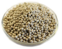 Vietnam's beste kwaliteit GMP-gecertificeerde gedroogde witte peper, 100% natuurlijke korrel, groothandelsprijs, gratis monster beschikbaar