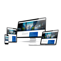 Parte superior de negocios Empresa de diseño y desarrollo de sitios web en la India | Premio web servicios de desarrollo por Webroot Infosoft
