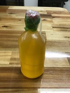 Fabrication au meilleur prix d'huile de Sachi à haute teneur en protéines/noix de Sacha Inchi de haute qualité origine Vietnam/Shyn Tran - Product Image 4