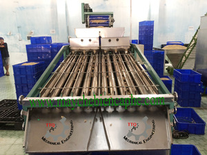 เครื่องคัดแยกเม็ดมะม่วงหิมพานต์ความจุขนาดใหญ่คุณภาพสูงขายส่งดีที่สุดในเวียดนามจากโรงงานในเวียดนาม - Product Image 6