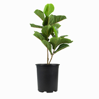Support de pot en plastique multifonctionnel pour plantes, décoration de pot de fleurs pour jardin et maison, restaurants et fêtes, vente en gros quotidienne