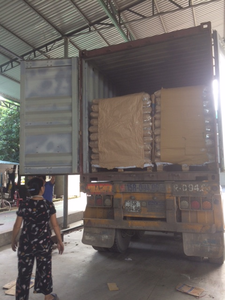 Bolsa y caja de polvo de harina de tapioca pura 100% Embalaje Certificado ISO/HACCP - Product Image 5