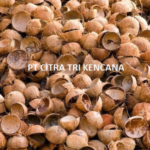 7% MOISTURE COCONUT CHARCOAL INDONESIA COCONUT SHELL MAKING MACHINE RAW MATERIAL HOOKAH SHISHA BRIQUETTE BEST IN Duzici TURKEY - Product Image 1